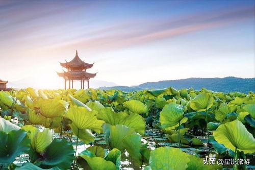 杭州今日头条怎么拍照,捕捉城市瞬间，摄影技巧分享